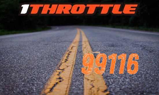 Harley Davidson near 99116