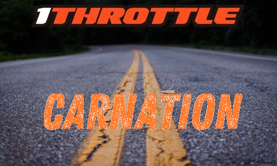 Harley Davidson Carnation