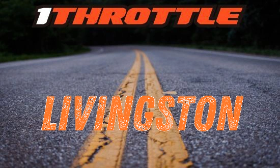 Harley Davidson Livingston