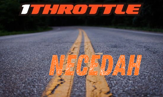 Harley Davidson Necedah