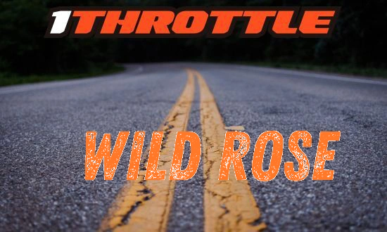 Harley Davidson Wild Rose