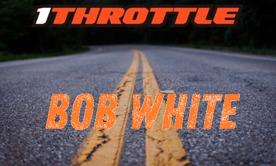 Harley Davidson Bob White