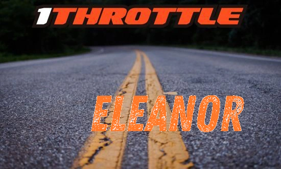 Harley Davidson Eleanor