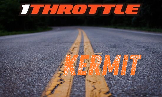 Harley Davidson Kermit