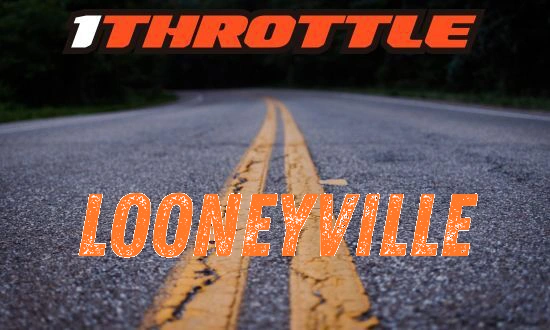 Harley Davidson Looneyville