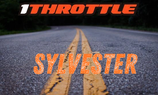 Harley Davidson Sylvester