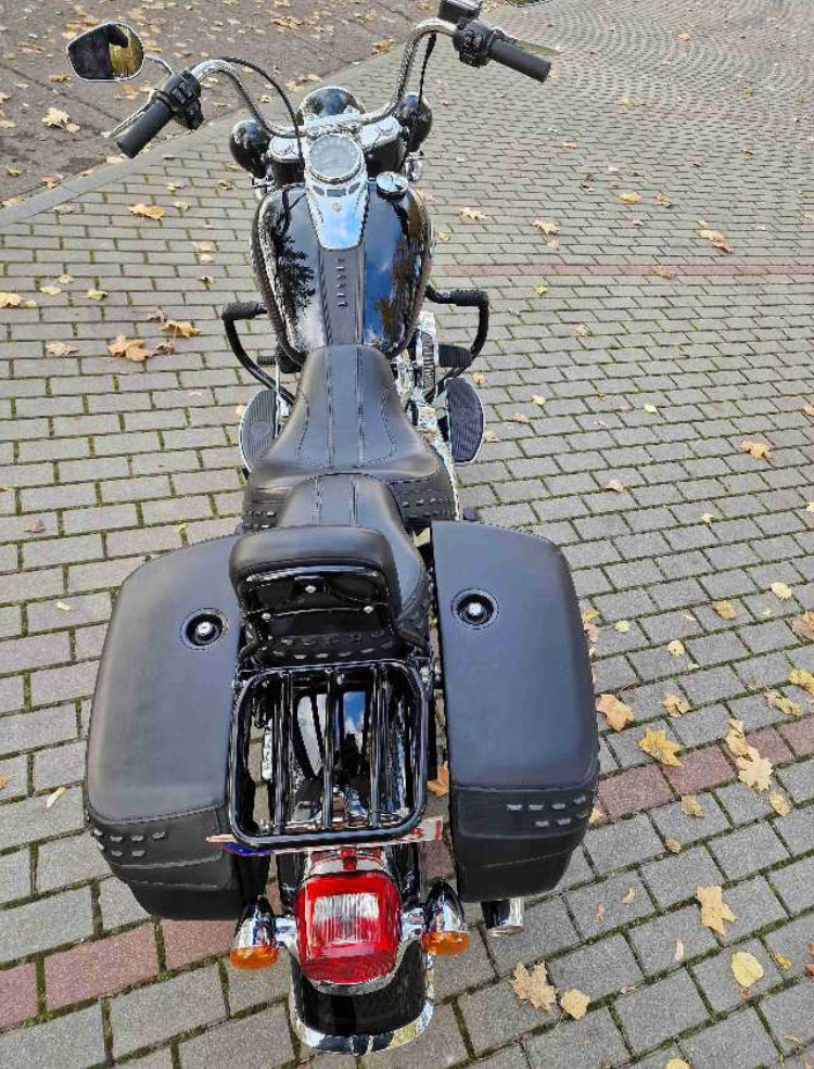 Softail Harley Davidson2